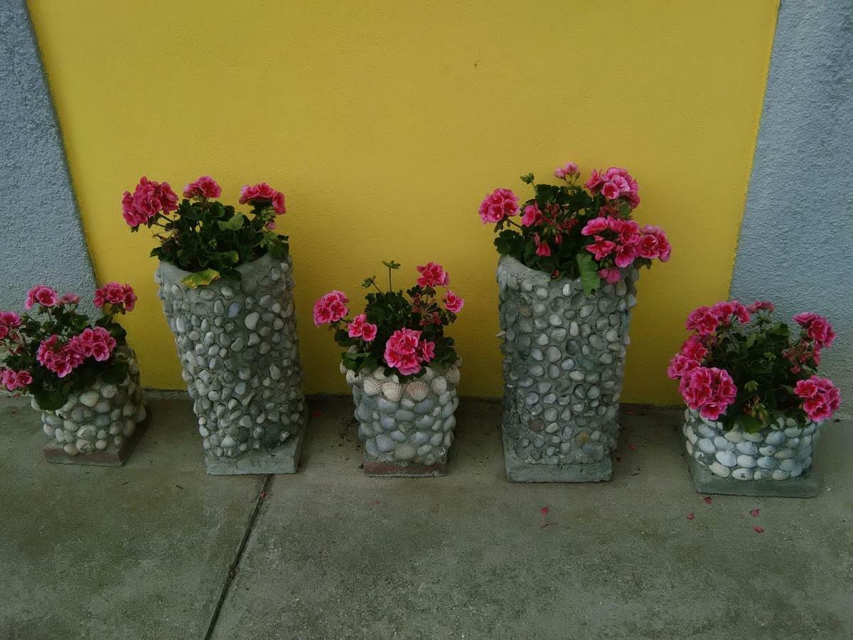B&B Tisoi Belluno Ngoại thất bức ảnh